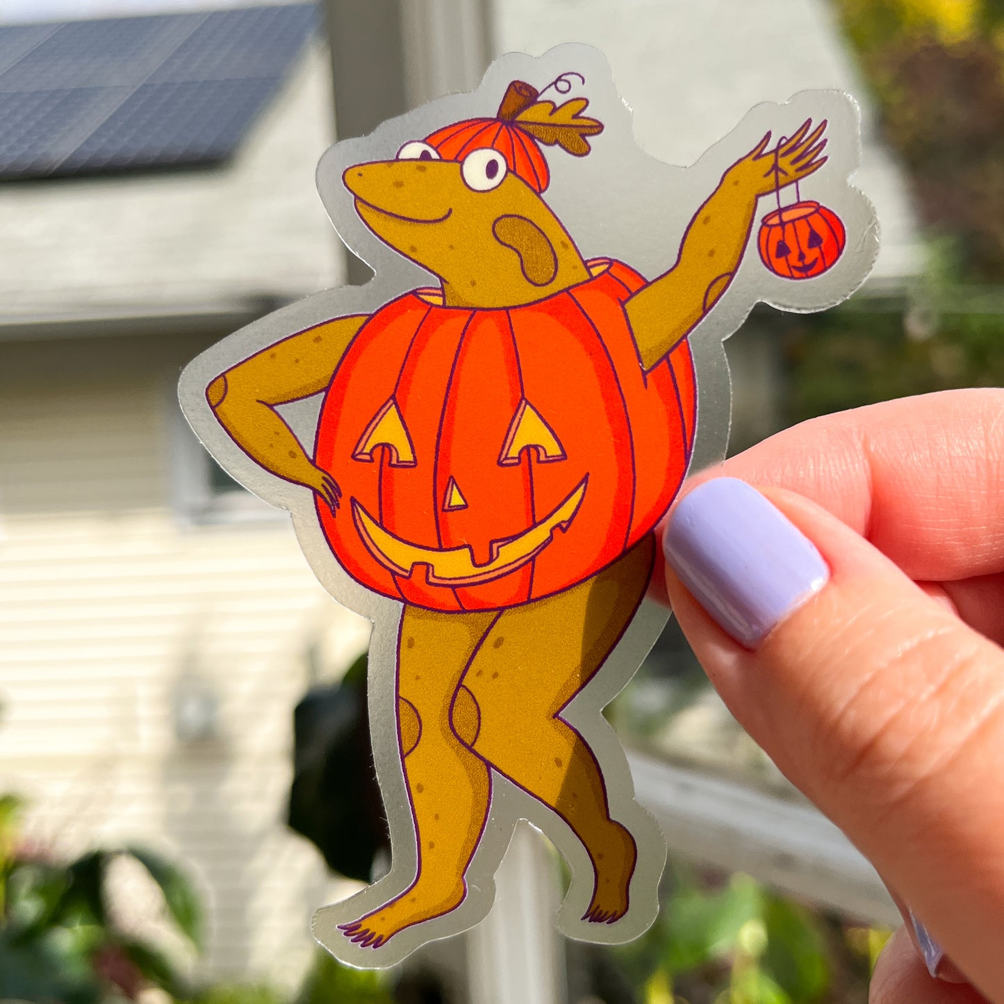 Pumpkin Frog sticker